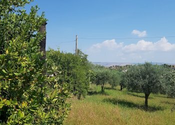Rustico C.DA SAN GIACOMO, Modica - foto 4