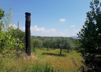 Rustico C.DA SAN GIACOMO, Modica - foto 14