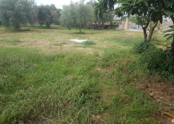 Casa indipendente C.DA MENDOLILLO, Scicli - foto 18