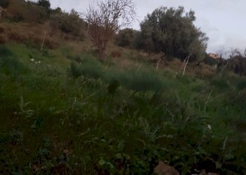 Rustico C.DA ZAGARONE, Scicli - foto 11