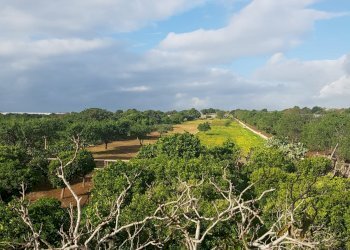 Casa indipendente C.DA SERRA GIUMENTA, Scicli - foto 5