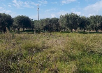 Casa indipendente C.DA SERRA GIUMENTA, Scicli - foto 10