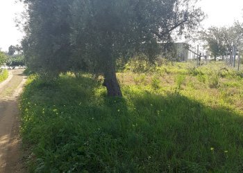 Casa indipendente C.DA SERRA GIUMENTA, Scicli - foto 11