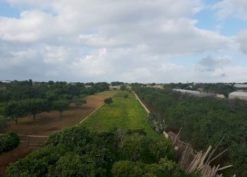 Casa indipendente C.DA SERRA GIUMENTA, Scicli - foto 13