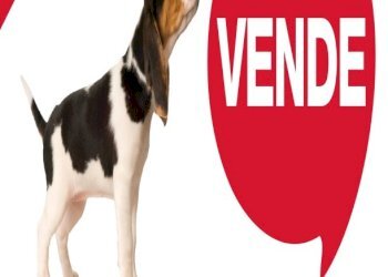 Attività Commerciale Scicli - foto 1