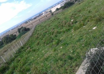 Agriturismo C.DA ARIZZA, Scicli - photo 2