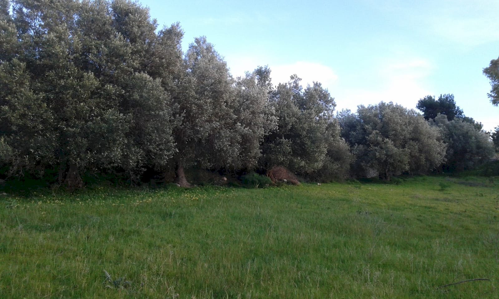 Terreno agricolo CONTRADA PALAZZOLA, Scicli - foto 1