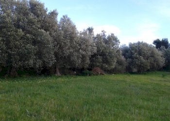 Agricultural land CONTRADA PALAZZOLA, Scicli - photo 1