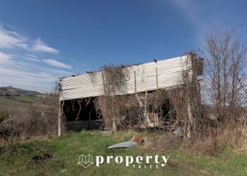 Rustico colle di creta, Ripatransone - foto 19