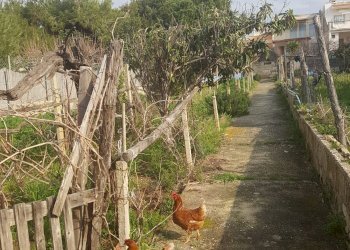 Box VIA TOLSTOJ, Scicli - foto 4