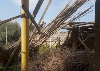 Box VIA TOLSTOJ, Scicli - foto 7