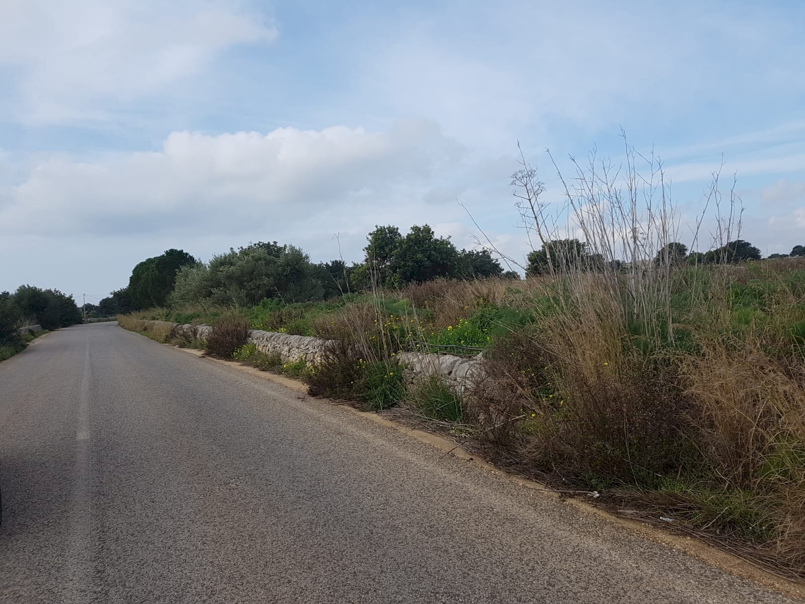Terreno agricolo C.DA LANDOLINA, Scicli - foto 1