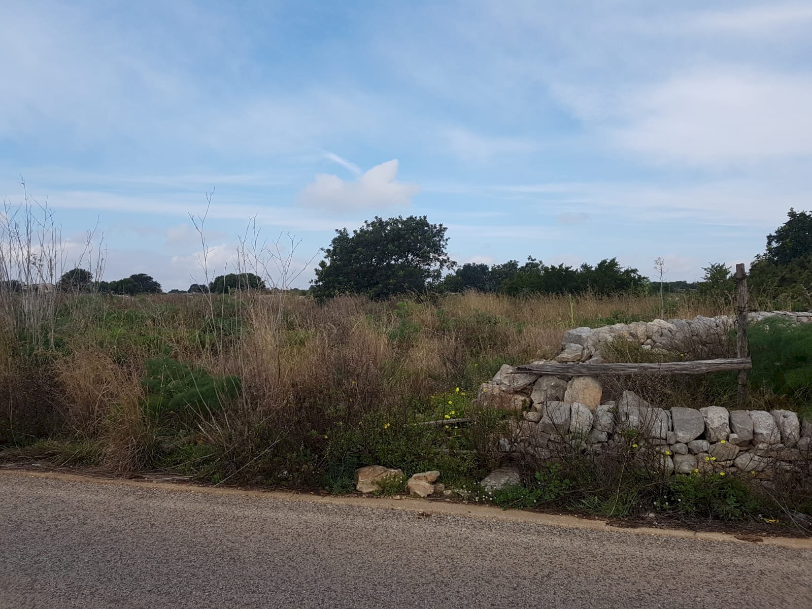 Terreno agricolo C.DA LANDOLINA, Scicli - foto 2