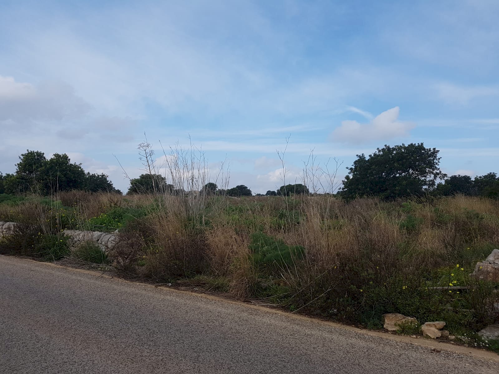 Terreno agricolo C.DA LANDOLINA, Scicli - foto 3