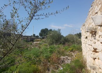 Rustico C.DA MULICI, Scicli - foto 10