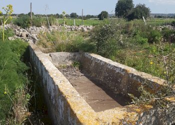 Rustico C.DA MULICI, Scicli - foto 11