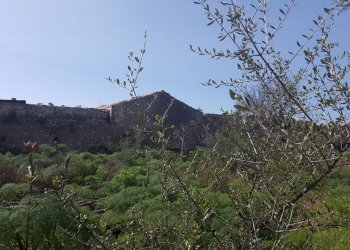 Rustico C.DA MULICI, Scicli - foto 13