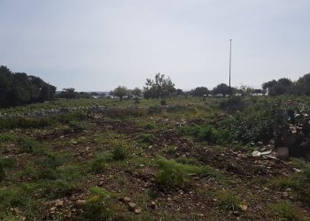 Rustico C.DA MULICI, Scicli - foto 14