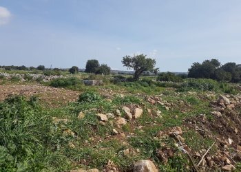 Rustico C.DA MULICI, Scicli - foto 18