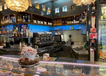 Interno non residenziale - Bar Tavola Calda - Fredda Rivoli - foto 4