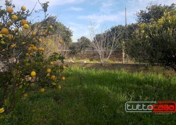 Casa indipendente C.DA FONDO OLIVA, Scicli - foto 8