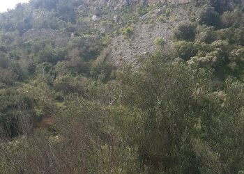 Casa indipendente SAN BARTOLOMEO, Scicli - foto 16