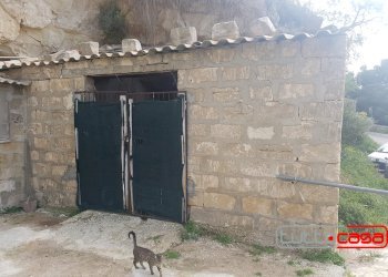 Casa indipendente SAN BARTOLOMEO, Scicli - foto 23