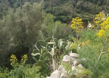 Casa indipendente SAN BARTOLOMEO, Scicli - foto 26
