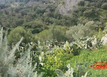 Casa indipendente SAN BARTOLOMEO, Scicli - foto 27