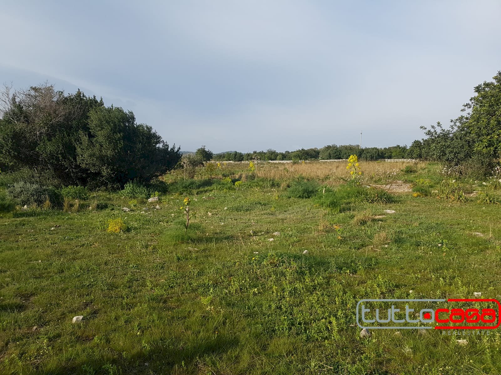 Agriturismo C.DA SPANA, Scicli - foto 1