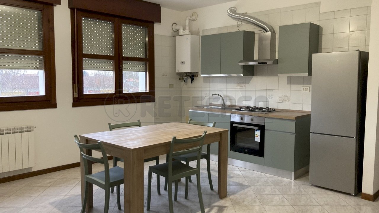 IMG_2529.jpg - Appartamento Mirano - foto 2