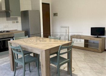 IMG_2532.jpg - Appartamento Mirano - foto 1