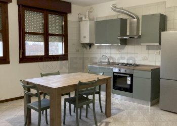 IMG_2529.jpg - Appartamento Mirano - foto 2