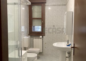 IMG_2522.jpg - Appartamento Mirano - foto 8