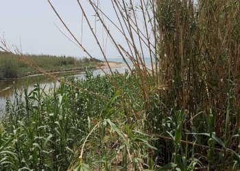 Casa indipendente C.DA ARIZZA, Scicli - foto 14