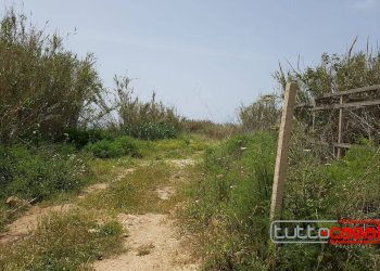 Casa indipendente C.DA ARIZZA, Scicli - foto 15