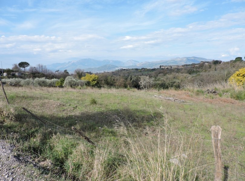 Agricultural land Sessa Aurunca - photo 3