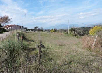 Terreno agricolo Sessa Aurunca - foto 1