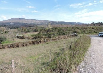 Terreno agricolo Sessa Aurunca - foto 4