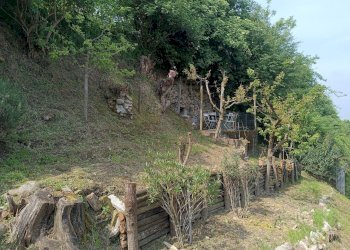 Casa indipendente Asti - foto 4