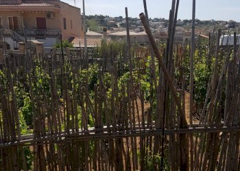 Agricultural land C.DA BRUCA, Scicli - photo 6