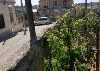 Agricultural land C.DA BRUCA, Scicli - photo 9