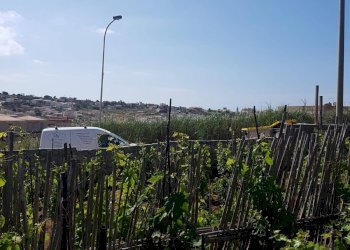 Agricultural land C.DA BRUCA, Scicli - photo 11