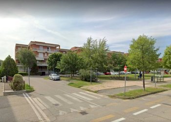 Shop Alba - photo 12