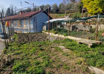 Casa semi indipendente Via Casotto, San Sebastiano da Po - foto 34