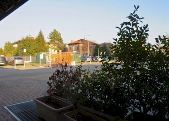 Shop Reggio nell'Emilia - photo 8