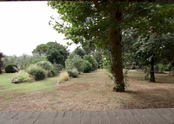 vendesi villa anni 70 con giardino privato capanno - Villa Via della Chiesa di Gragnano, Capannori - foto 11