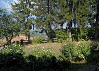 Casale Rocca Cigliè - photo 11