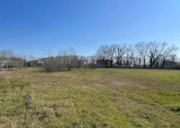 Capannone Via Redenta, 24, Molinella - foto 15