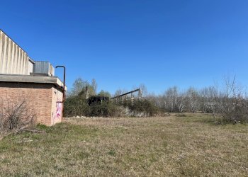 Capannone Via Redenta, 24, Molinella - foto 16